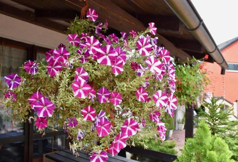 펜션 Penzion Bar Sandra