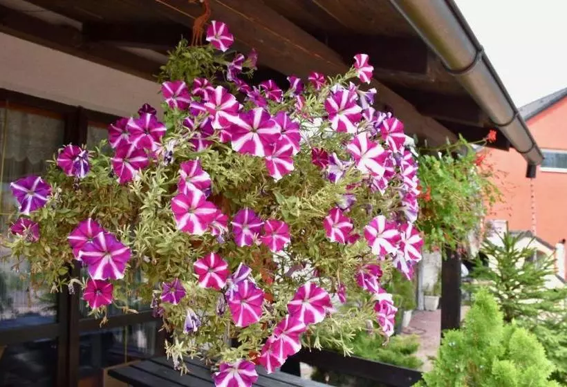 Majatalo Penzion Bar Sandra