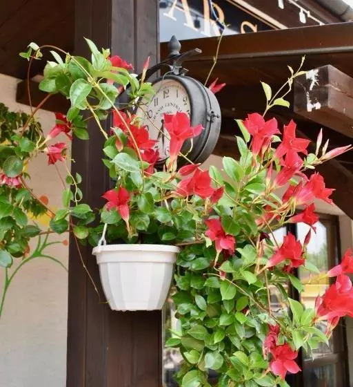 Majatalo Penzion Bar Sandra