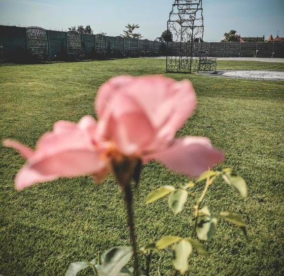 ペンション Restaurant Pansion Wien