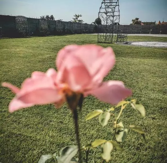 Majatalo Restaurant Pansion Wien