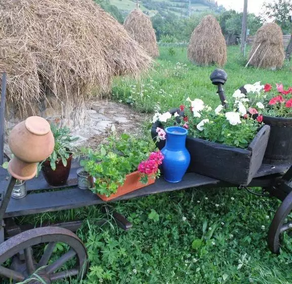 Majatalo Salamandra Village