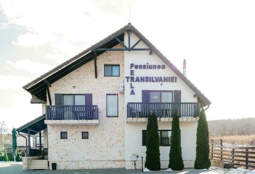 Pensiunea Perla Transilvaniei