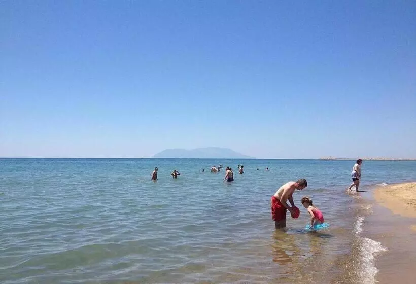 Saros Aslan Apart