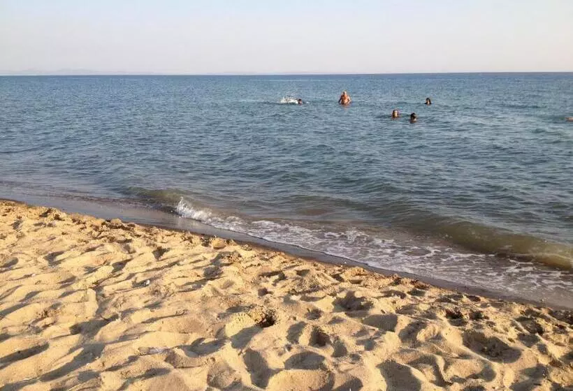 Saros Aslan Apart