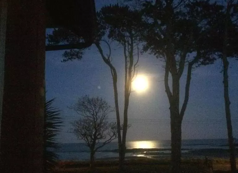 The Old Vicarage Ni B&b