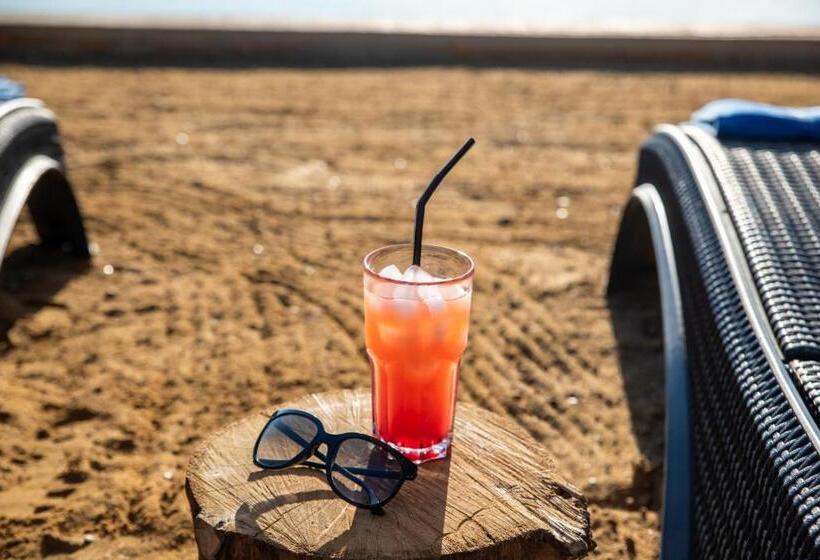 шале рутенія   Chalet Rutenia Apartments