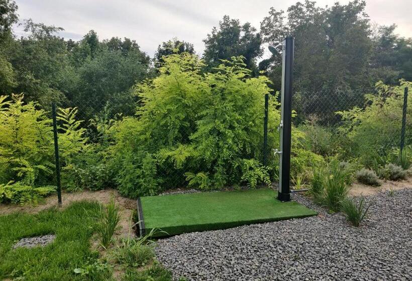 шале рутенія   Chalet Rutenia Apartments