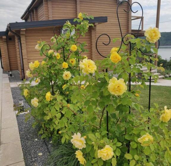 шале рутенія   Chalet Rutenia Apartments