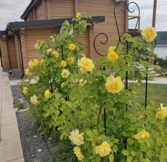 шале рутенія   Chalet Rutenia Apartments