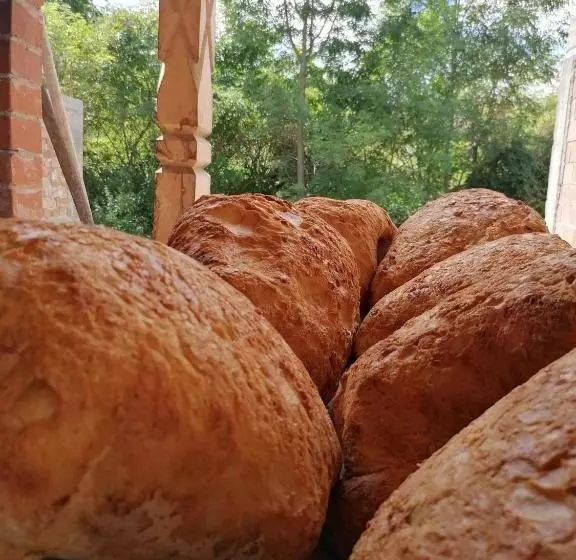 Retkeilymaja Kinderuni Bekokten