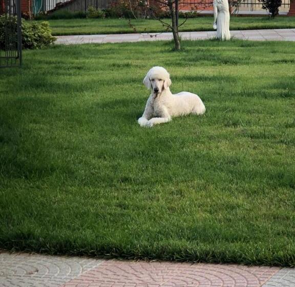 Bed and Breakfast Locanda Costa Otto.zero