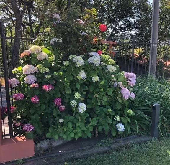 ベッドアンドブレックファースト Locanda Costa Otto.zero