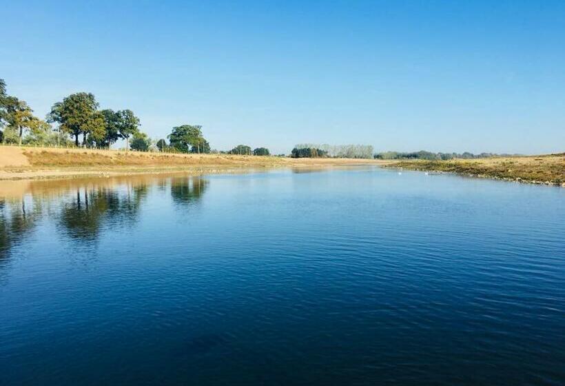 酒店 Cafe Knoors Meeks Stein Urmond