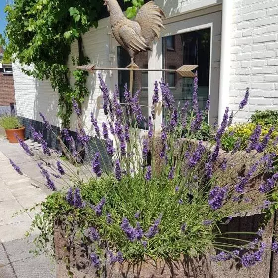 Hotelli Cafe Knoors Meeks Stein Urmond