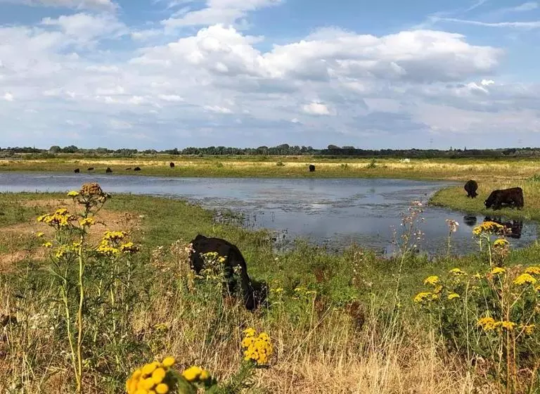 Hotelli Cafe Knoors Meeks Stein Urmond