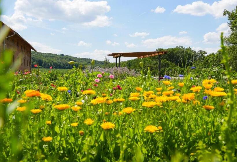 ホテル Dvůr Perlová Voda