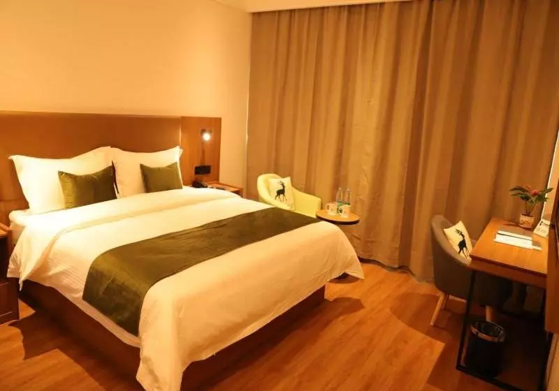 ホテル Greentree Inn Lanzhou Zhongchuan Airport Business