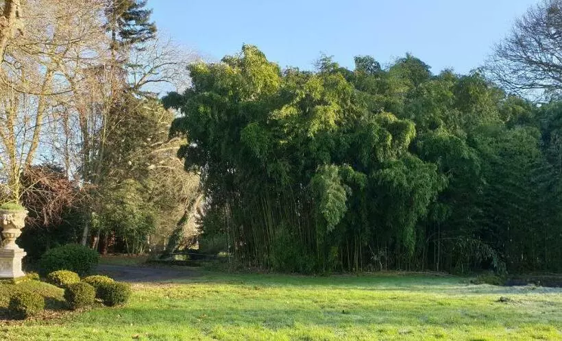 Majatalo La Villa Des Arts