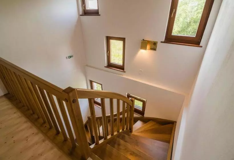 Aamiaismajoitus (B&B) Pensiunea Agroturisticā Lukács Panzió