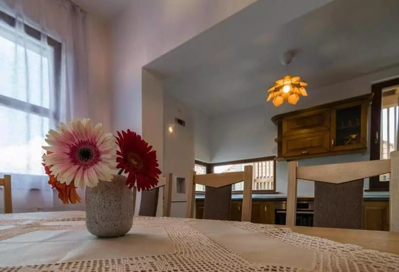 Aamiaismajoitus (B&B) Pensiunea Agroturisticā Lukács Panzió