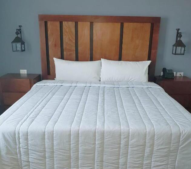 酒店 Plaza Matamoros