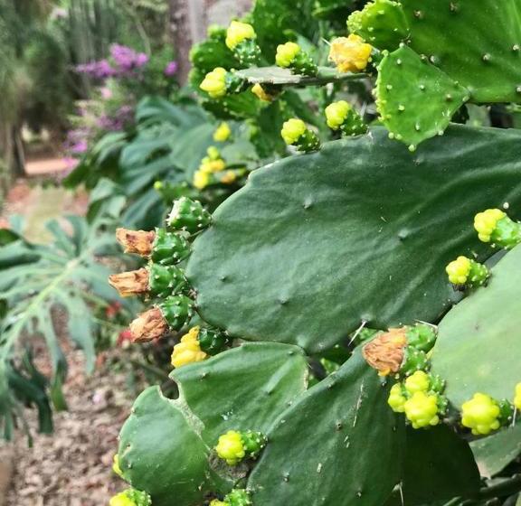 Pensão Rancho Dos Pássaros Amarelos