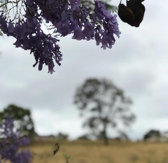 Pensão Rancho Dos Pássaros Amarelos
