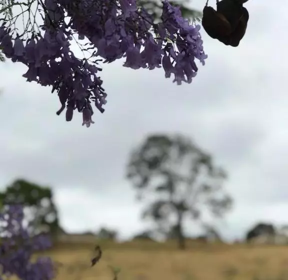 ペンション Rancho Dos Pássaros Amarelos