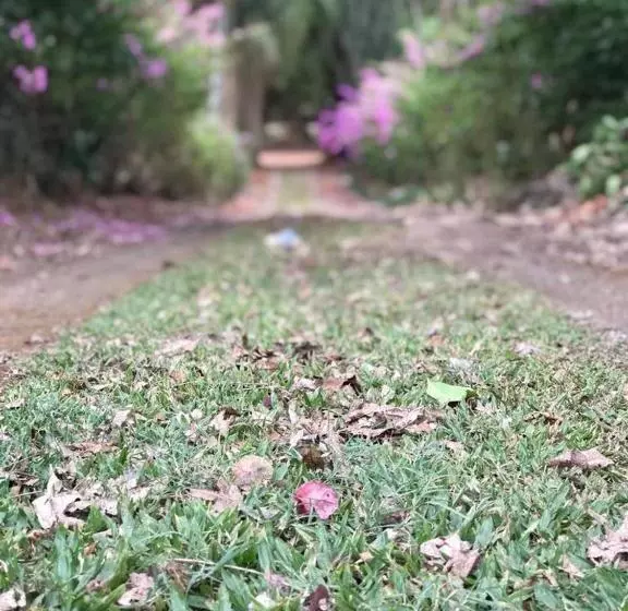 ペンション Rancho Dos Pássaros Amarelos