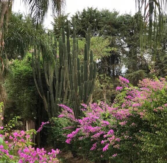 Pensão Rancho Dos Pássaros Amarelos