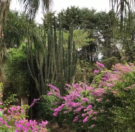 ペンション Rancho Dos Pássaros Amarelos