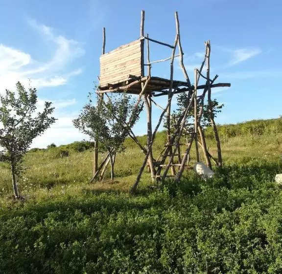 Pensiunea Agroturistica Casa Sirca