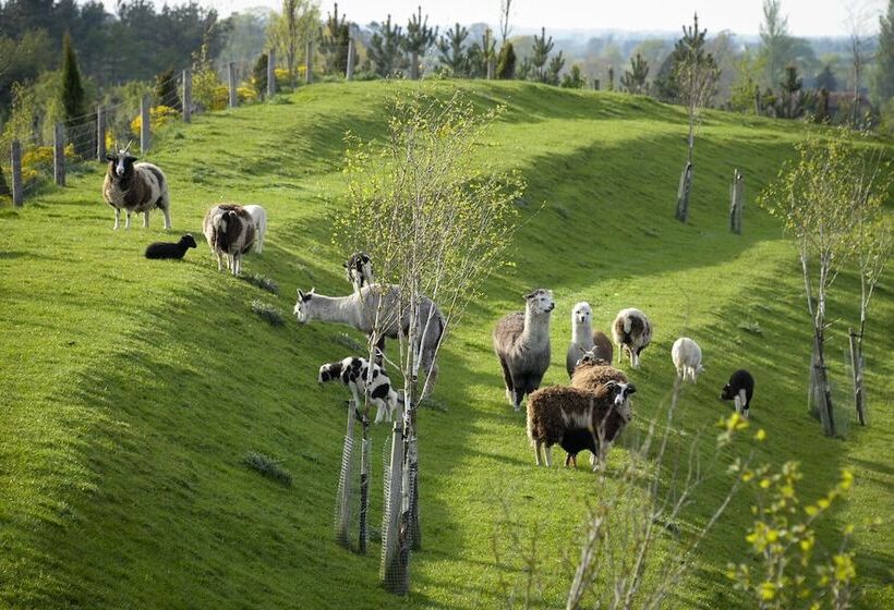 ホテル Clanard Court