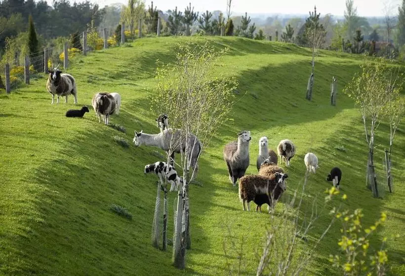 בית מלון כפרי Clanard Court