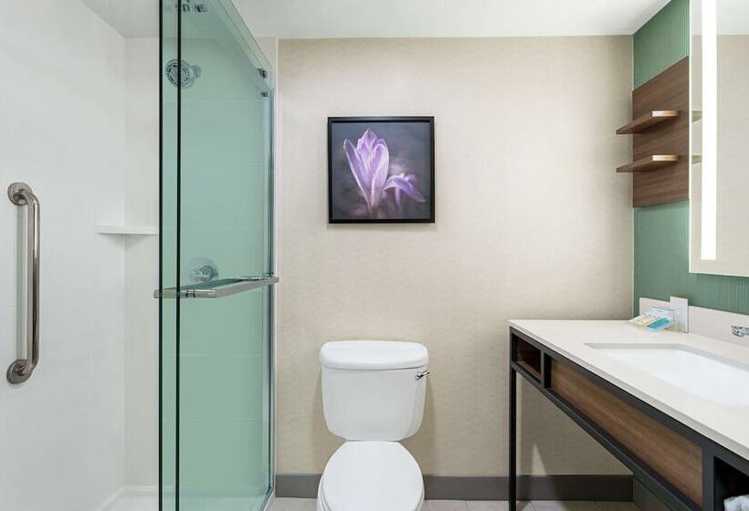 בית מלון כפרי Hilton Garden Inn Allentown Bethlehem Airport