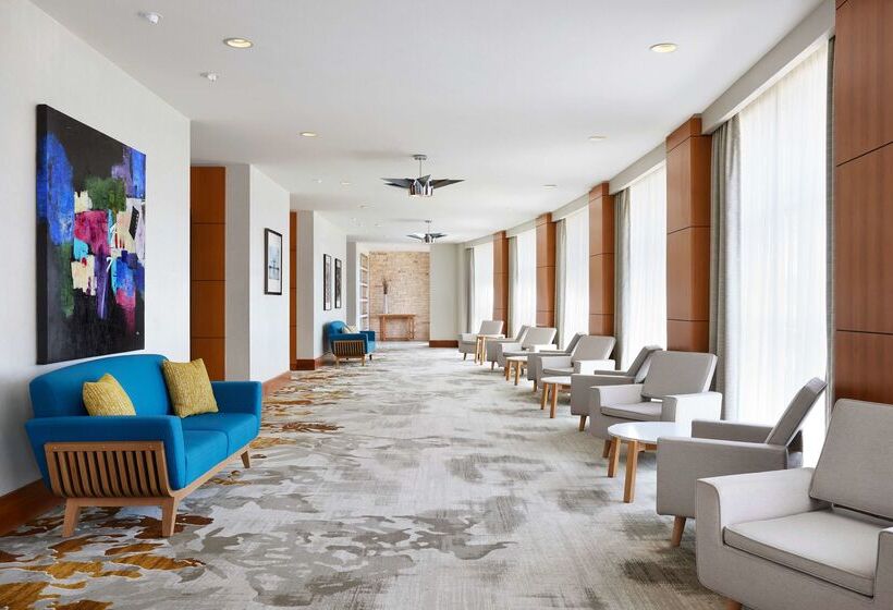 Otel Hilton Garden Inn Dallas Richardson