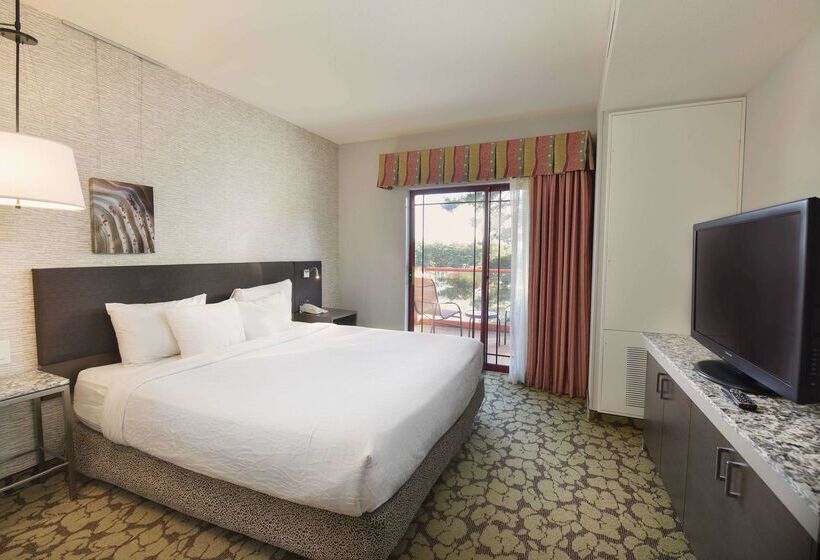 Szálloda Hilton Garden Inn Wisconsin Dells