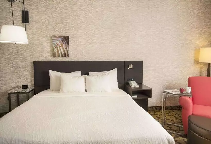 Hotel Hilton Garden Inn Wisconsin Dells