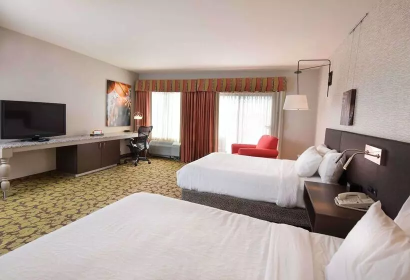 Hotel Hilton Garden Inn Wisconsin Dells