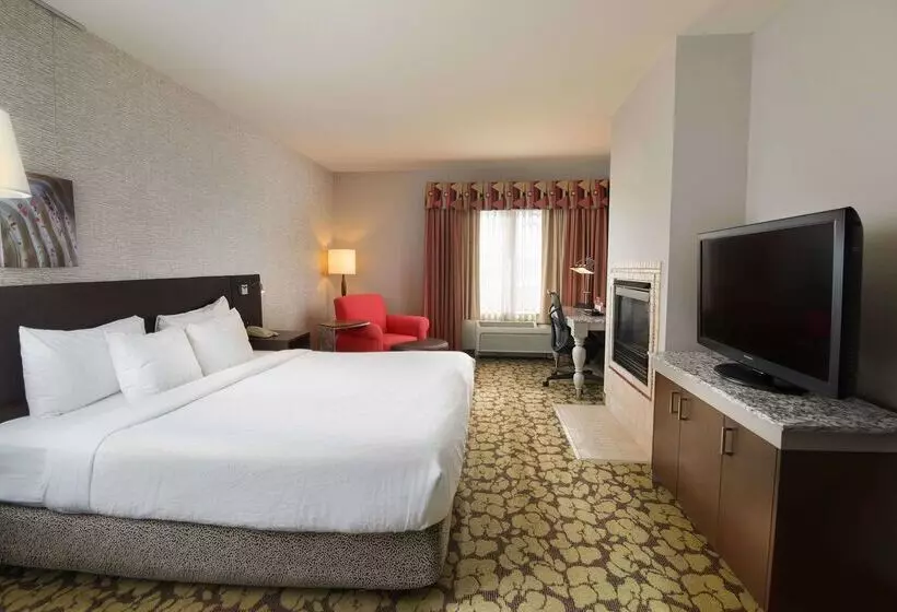 Hotel Hilton Garden Inn Wisconsin Dells