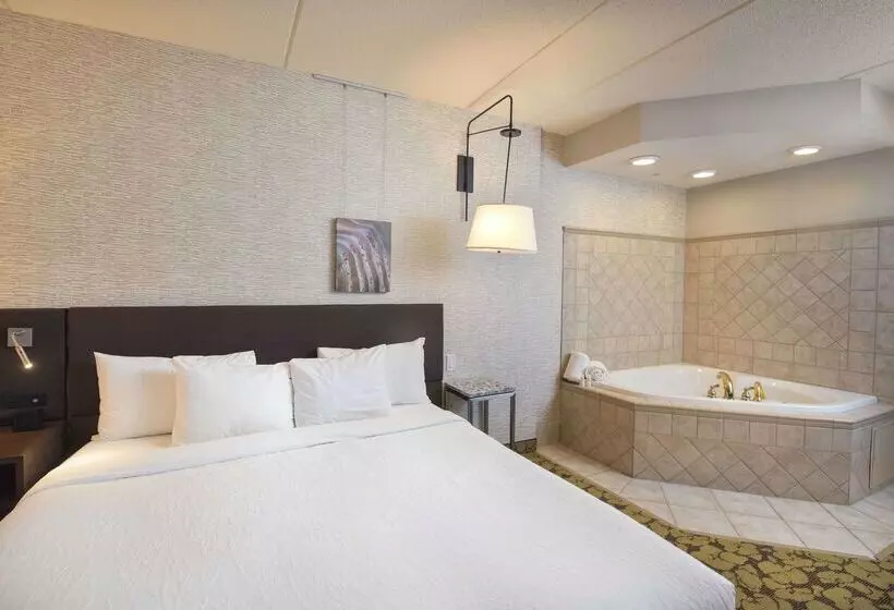 Hotel Hilton Garden Inn Wisconsin Dells