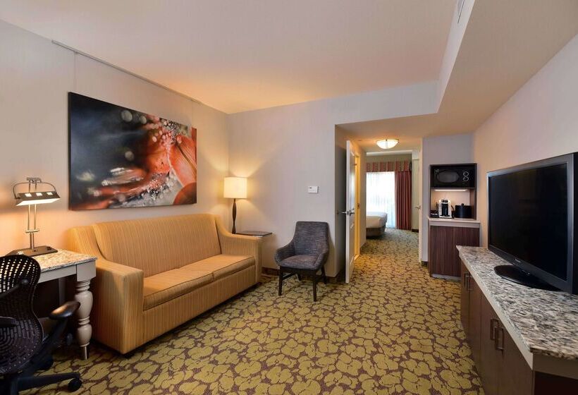 Szálloda Hilton Garden Inn Wisconsin Dells