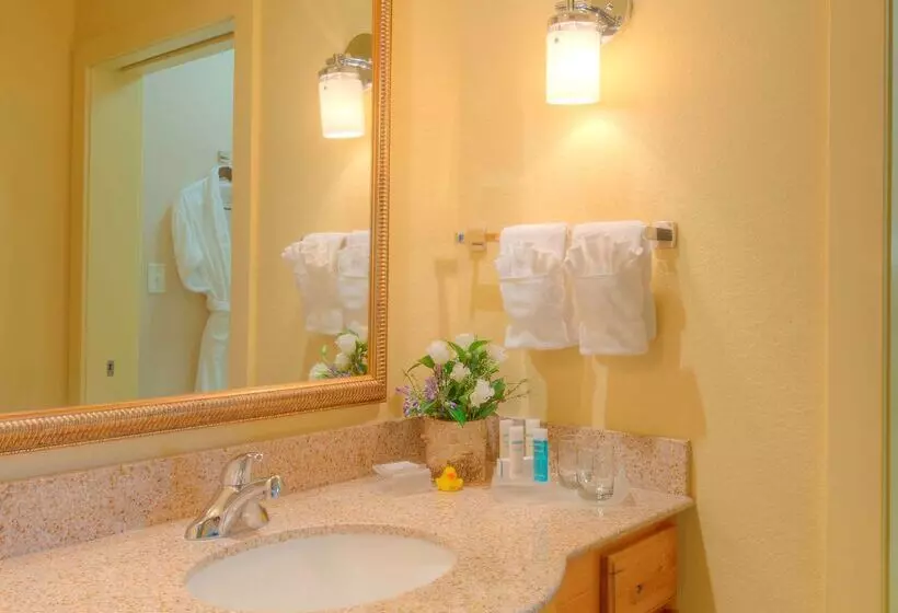 Отель Homewood Suites By Hilton Jackson