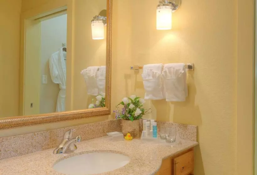 Отель Homewood Suites By Hilton Jackson