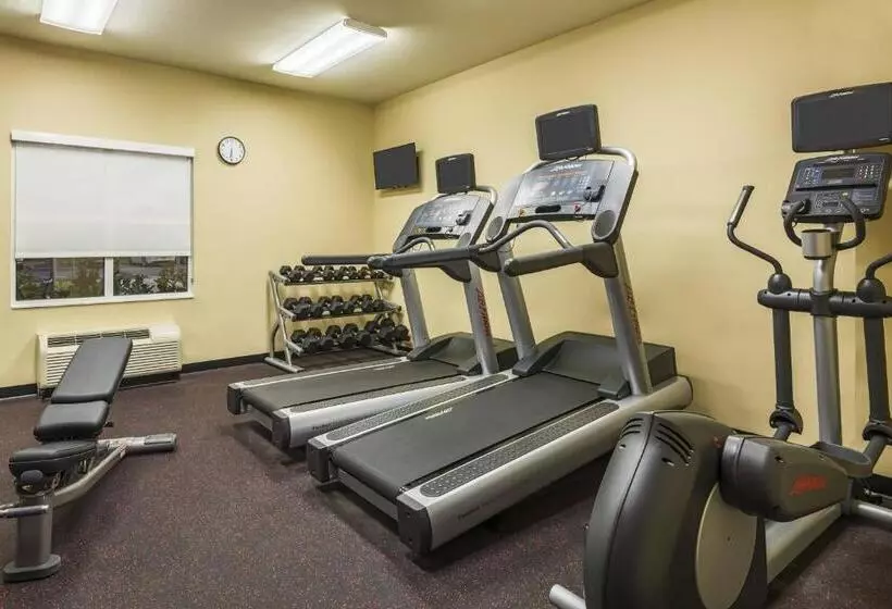 בית מלון כפרי Towneplace Suites Tampa Westshore/airport