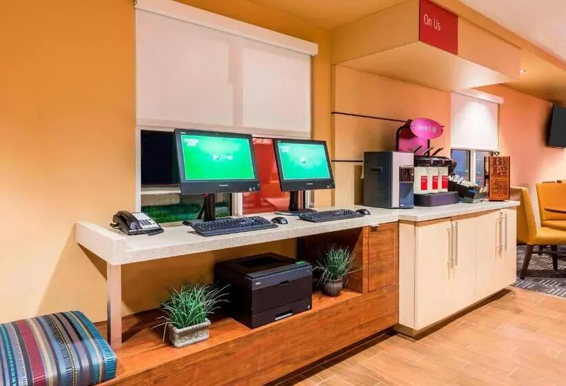 בית מלון כפרי Towneplace Suites Tampa Westshore/airport