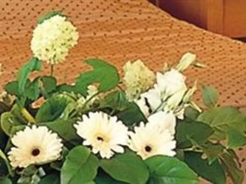 Mansion Hotel Bos & Ven