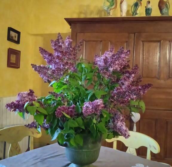 צימר Ensemble De Deux Chambres Pour Famille