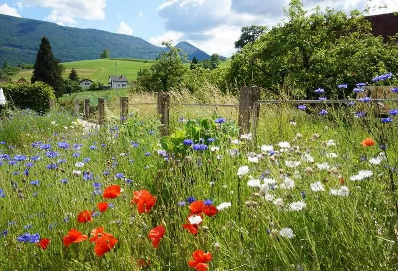 Hotelli Baders Krone